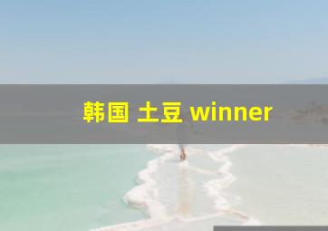 韩国 土豆 winner